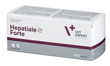 e467becdca6e58328410fa6d1241d28a