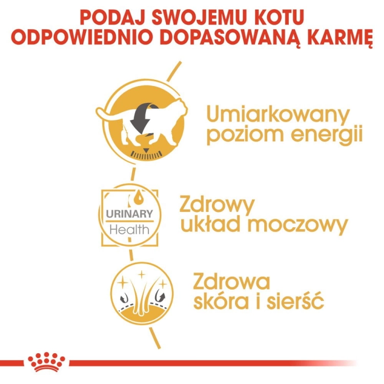 99a48dce3f1cb8a9f0233042e2596238