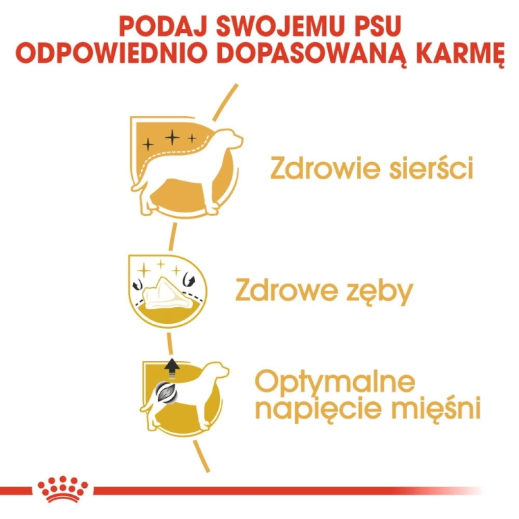 6c90f8b0030b53fe7fe8b400cc1804df