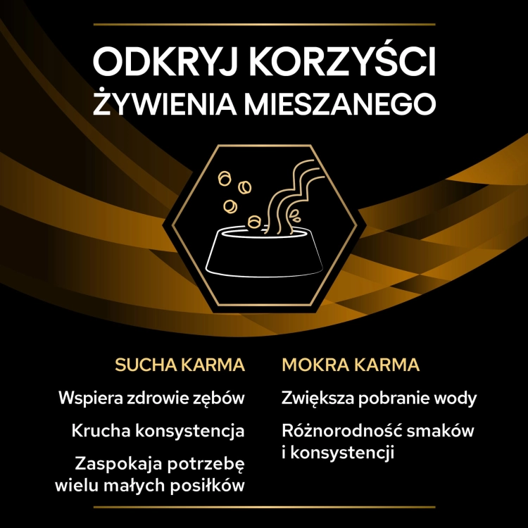 fa746ed7c5e896cea7f07747429577ae