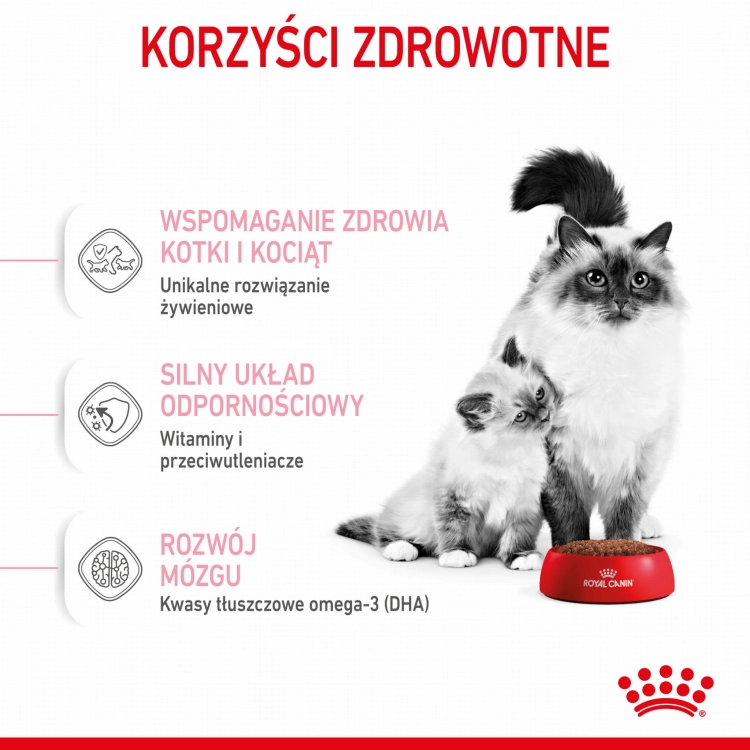 33c74ed997b6c3959d44677c9049a833