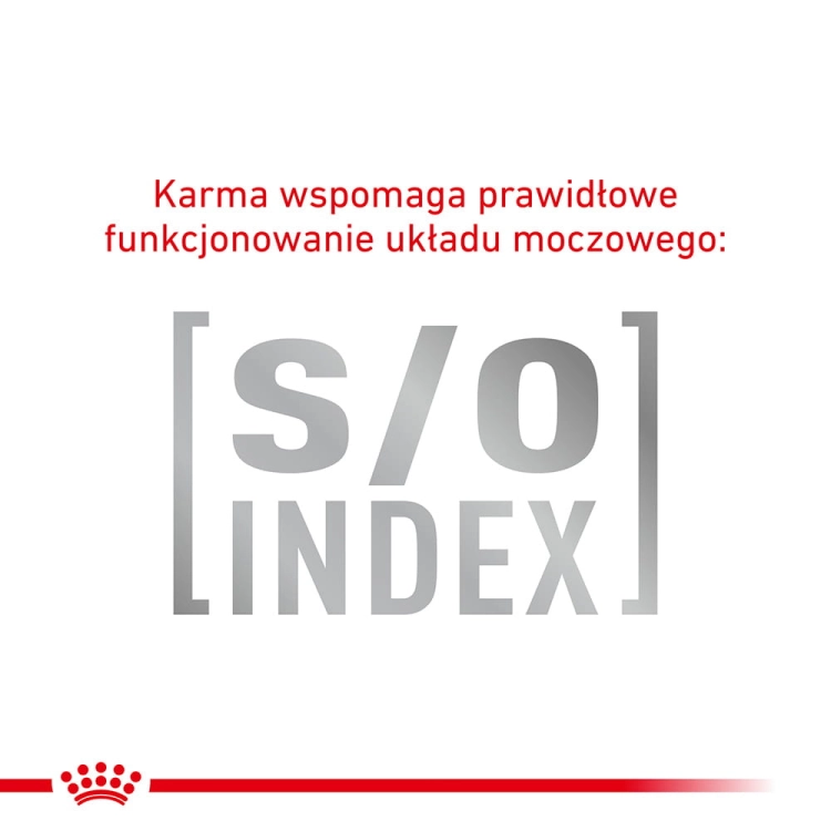 f82c5c3dcdaa2c6fa51703e10767b411