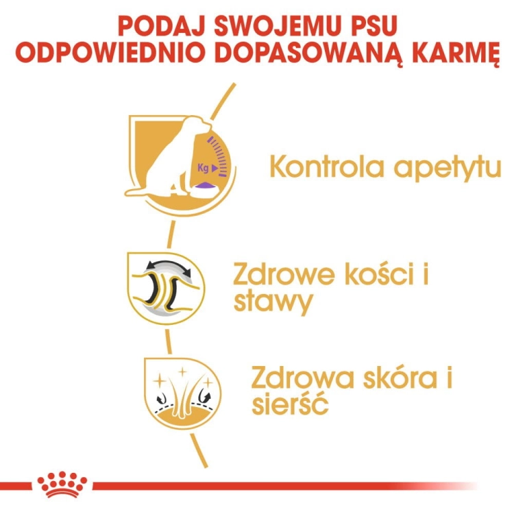 e7a09e87fc57e1e321b73070fabef329