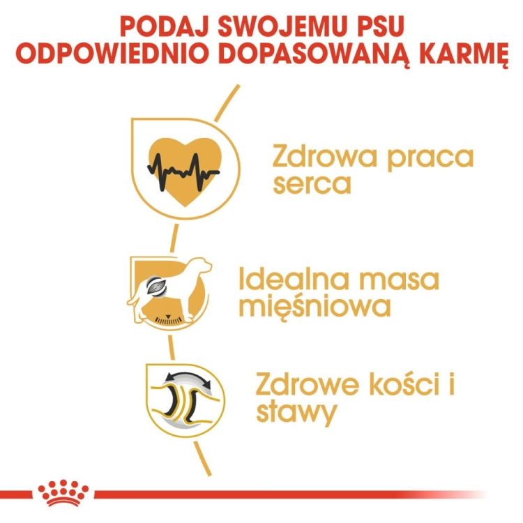 c35a33f19c851f3499a16ed53ee6bb1f