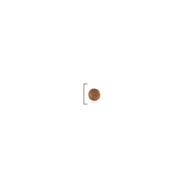 1b7c602689c04335df0d99625fde5108