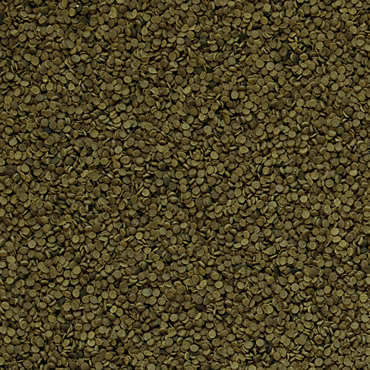 2d890eac24336c04d5626ed98162d889