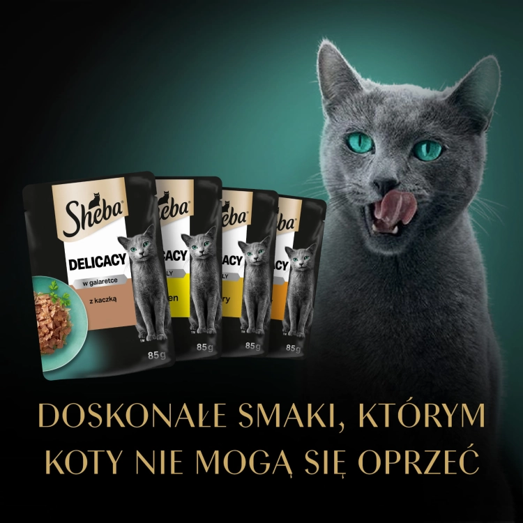 7377b3fb950015253449f49c50d9b8b3