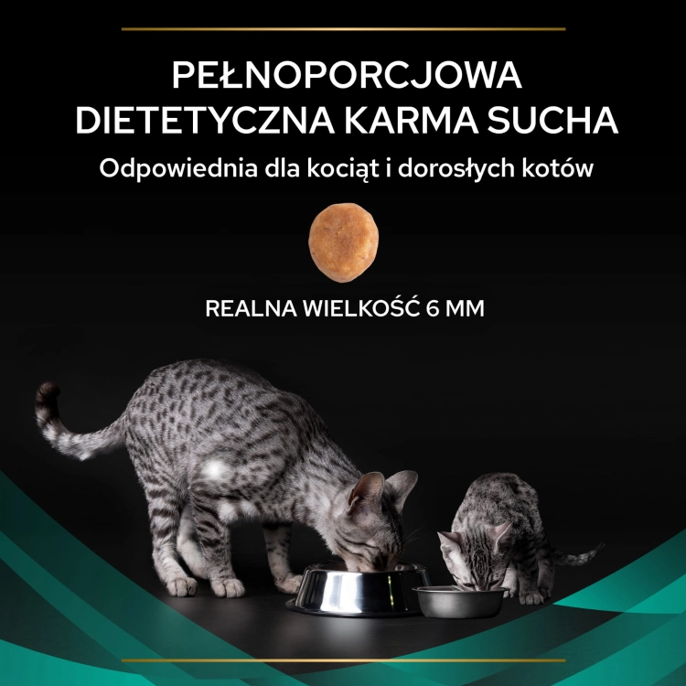 386ff9f90a7e8d2615bce2e0936b6e2f