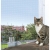 ede5c1d04bb23269ff2ea88ed2bcc6c9