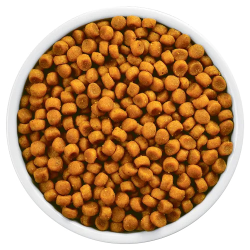28e0de28726c6c2c57139ee28accb68d