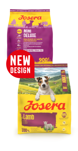 dc97c1deee26755459ff0701000da2ff