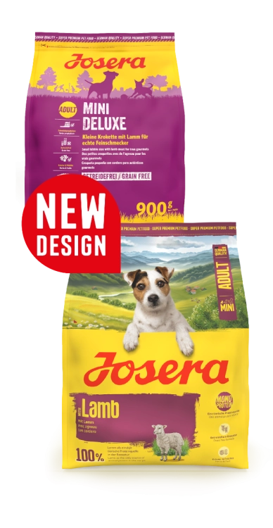 dc97c1deee26755459ff0701000da2ff