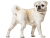 8586353c702e14ecbe6e032299e19e99