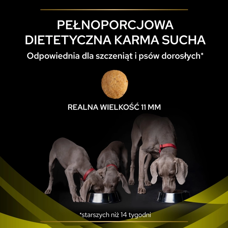da04f6a58604df348dac62810f2bcd58