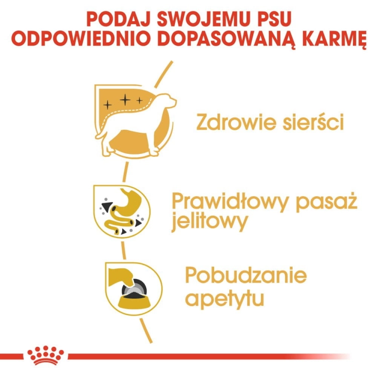 333903ab0d797f91370beb54a52fa3e1
