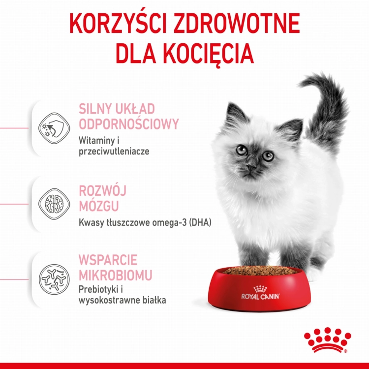 d53438bbd3a849d9f8f00cdd2e5771fb